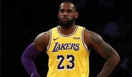 詹姆斯爆料记录最新数据,揭秘赛场幕后数据与真相