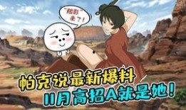 最新高招a级忍者爆料,高招背后的神秘力量