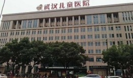 湖北医院最新爆料,揭秘疫情背后的真相与挑战