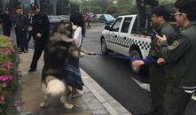 青岛城管爆料案件最新,聚焦城市治理新动态