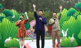 林新夫妇爆料视频最新版,揭秘惊人内幕，真相令人震惊